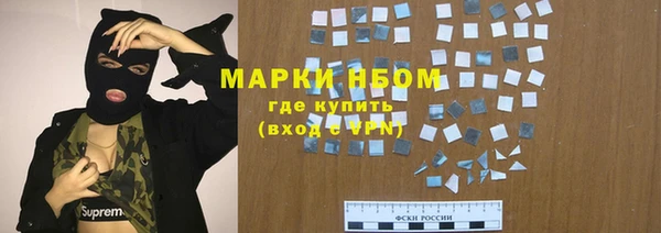 прущий лед Алзамай
