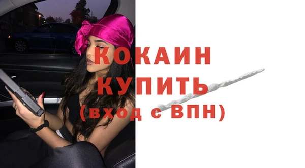 прущий лед Алзамай