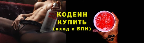 прущий лед Алзамай