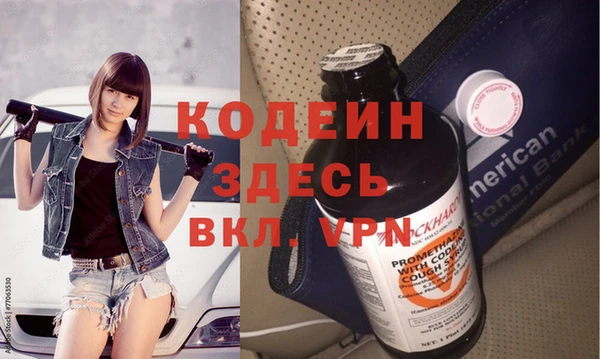 прущий лед Алзамай