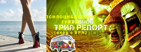 прущий лед Алзамай
